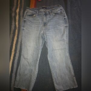 Jidy Blue 20W Straight Fit   Cropped?